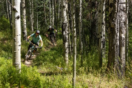 Two people mountain biking on a trail in a forest.